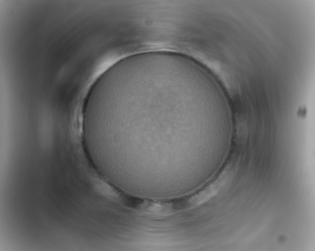 X0000103961365200809191501
