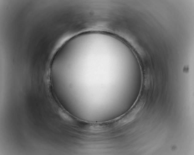 X0000103961366200809191501