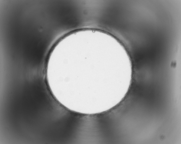 X0000103961368200809191501