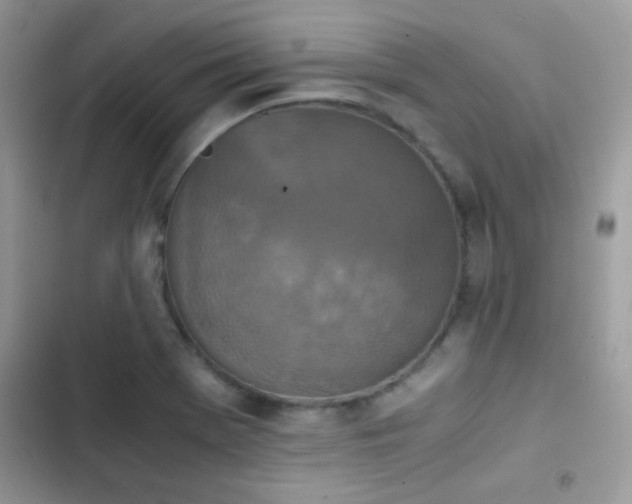 X0000103961369200809191501