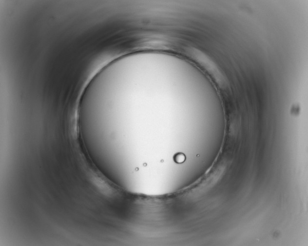 X0000103961370200809191501