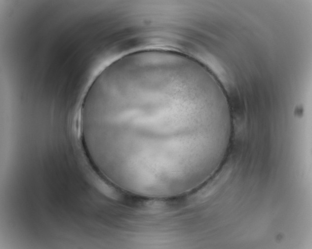 X0000103961371200809191501