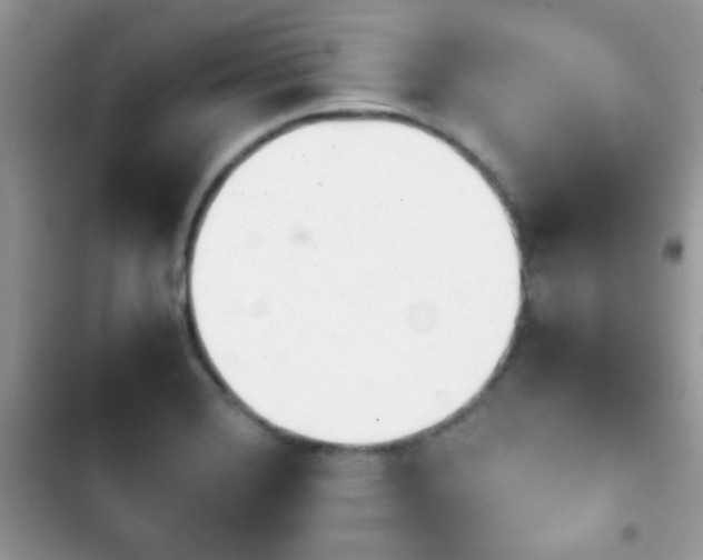 X0000103961372200809191501