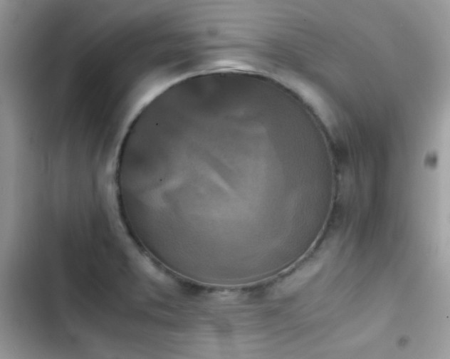 X0000103961373200809191501