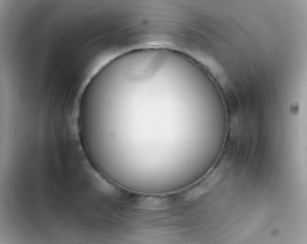 X0000103961374200809191501