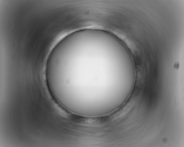 X0000103961375200809191501