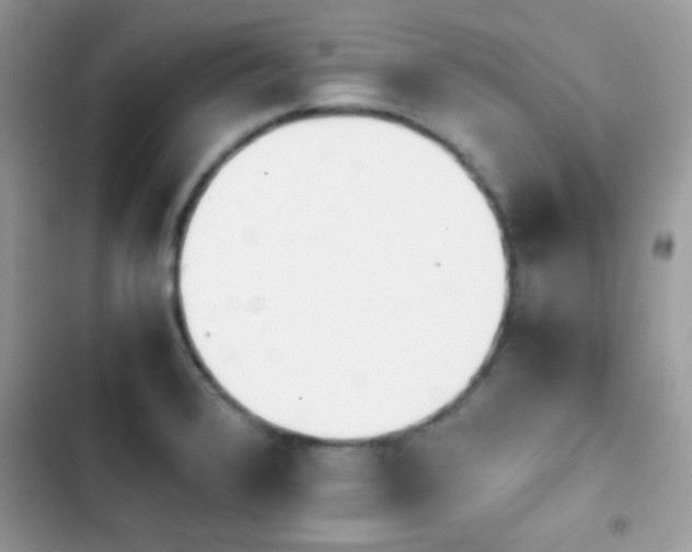 X0000103961376200809191501