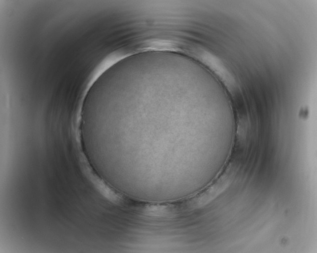 X0000103961378200809191501