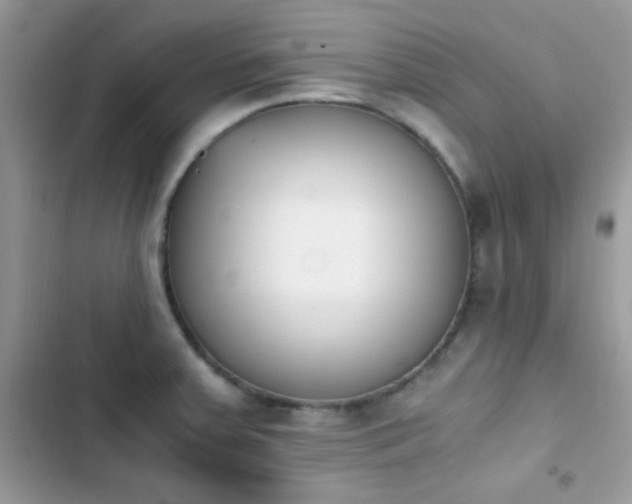 X0000103961379200809191501