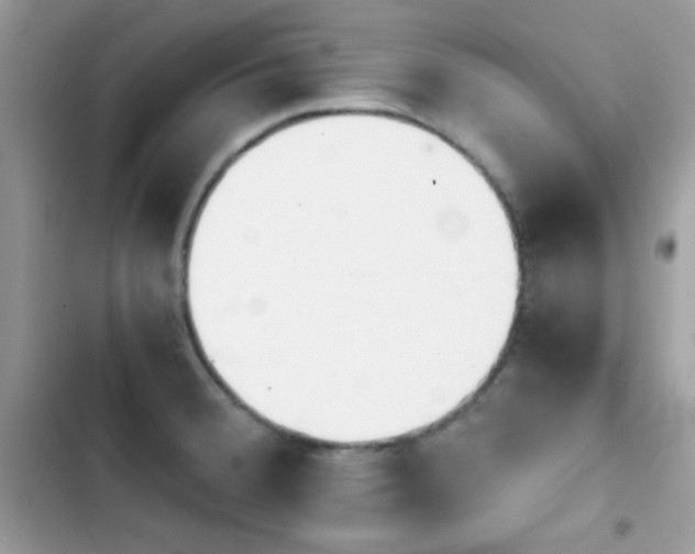 X0000103961380200809191501