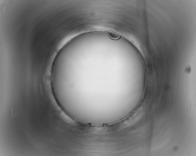 X0000103961381200809191501