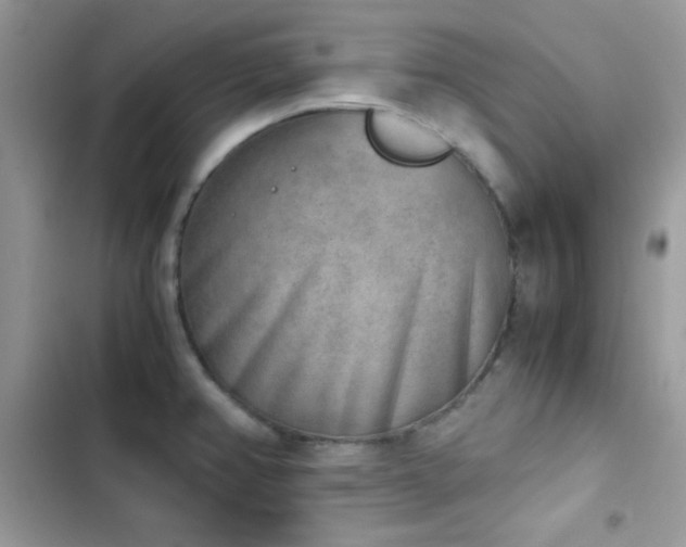 X0000103961382200809191501