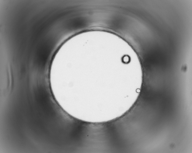 X0000103961384200809191501