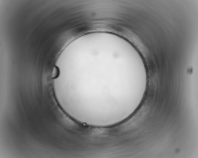 X0000103961385200809191501