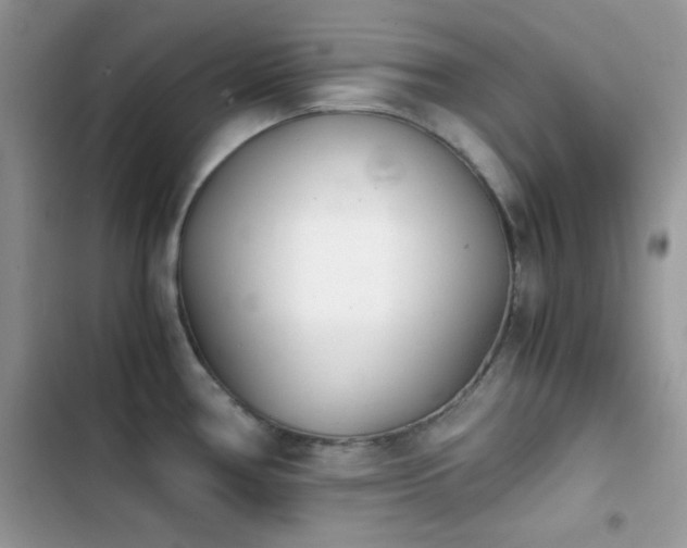 X0000103961386200809191501