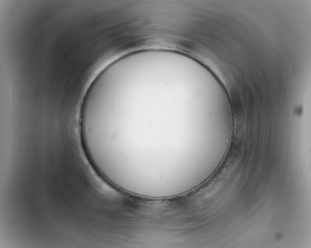 X0000103961387200809191501