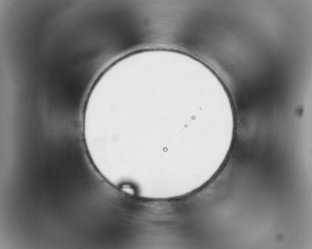 X0000103961388200809191501