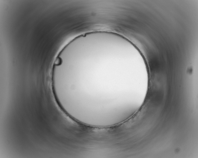 X0000103961389200809191501