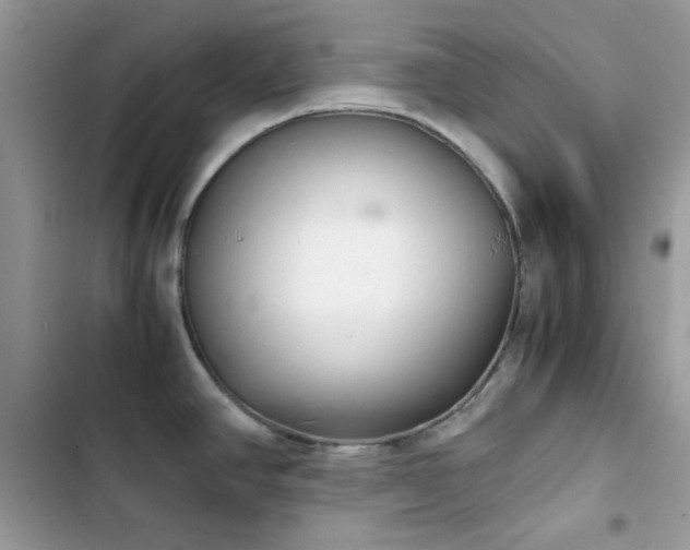 X0000103961390200809191501