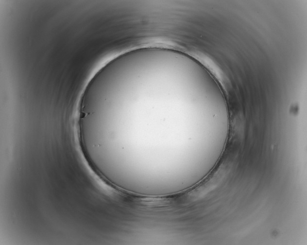 X0000103961391200809191501