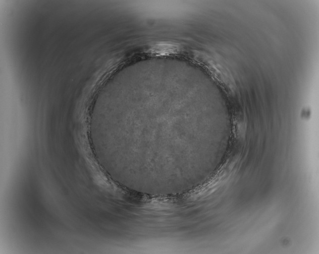 X0000103961393200809191500