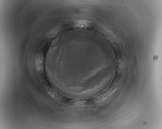 X0000103961394200809191500