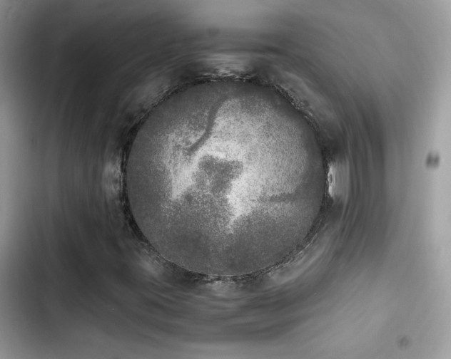 X0000103961395200809191500