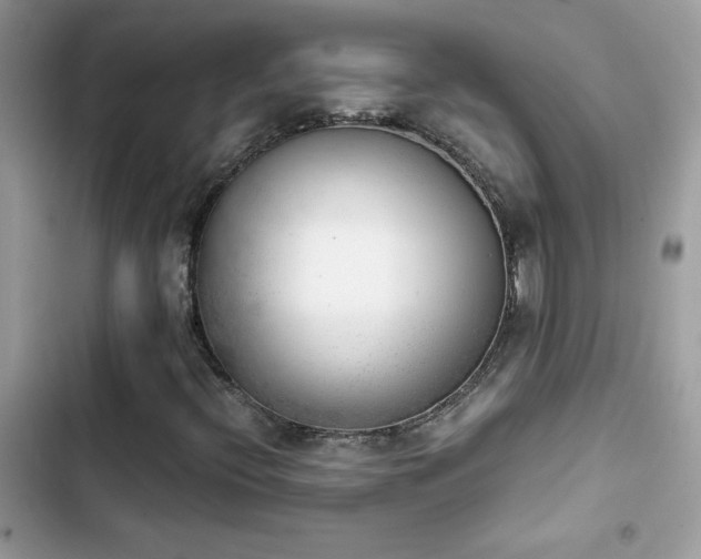 X0000103961396200809191500