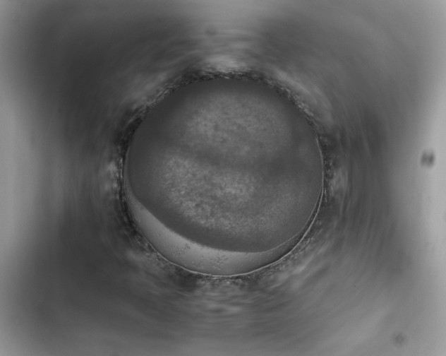 X0000103961397200809191500