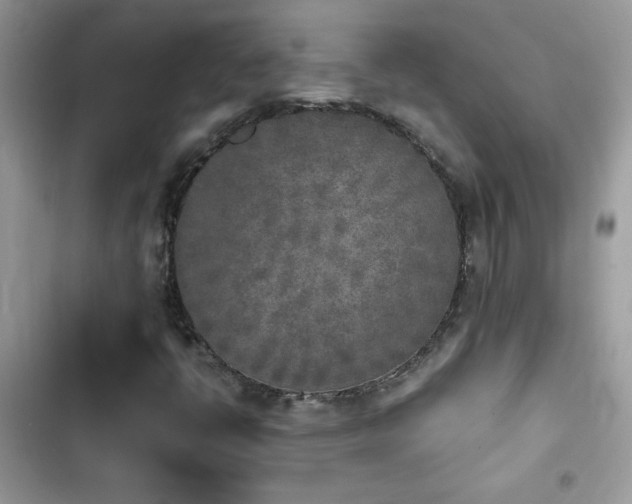 X0000103961398200809191500