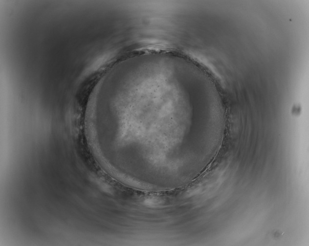 X0000103961399200809191500