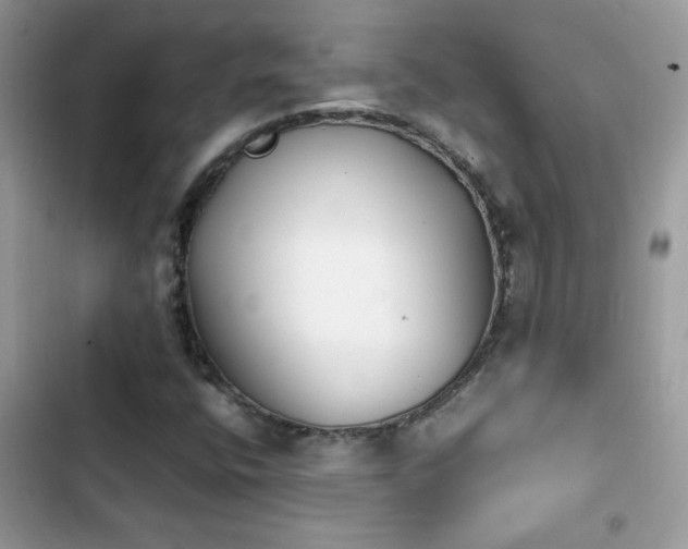 X0000103961400200809191500