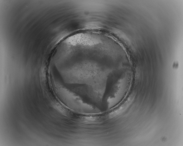 X0000103961401200809191500