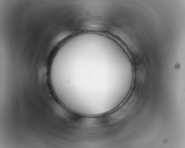 X0000103961402200809191500