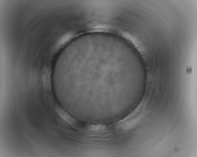X0000103961403200809191500