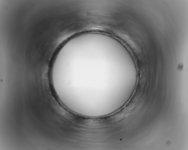 X0000103961404200809191500