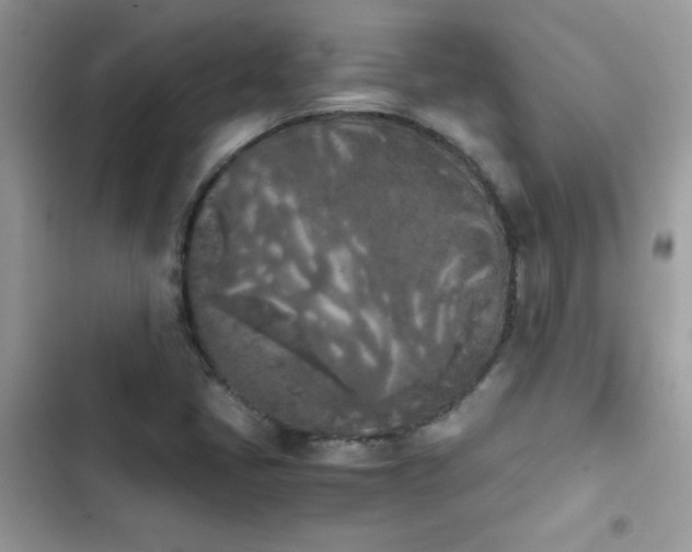 X0000103961405200809191500