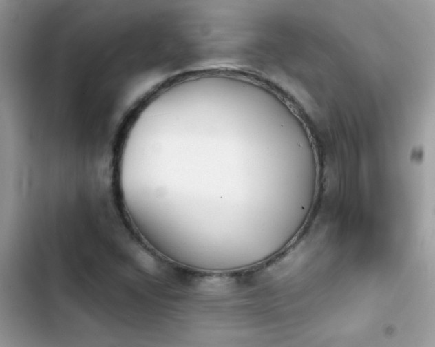X0000103961406200809191500