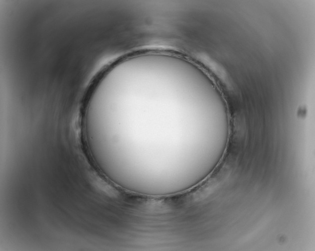 X0000103961408200809191500