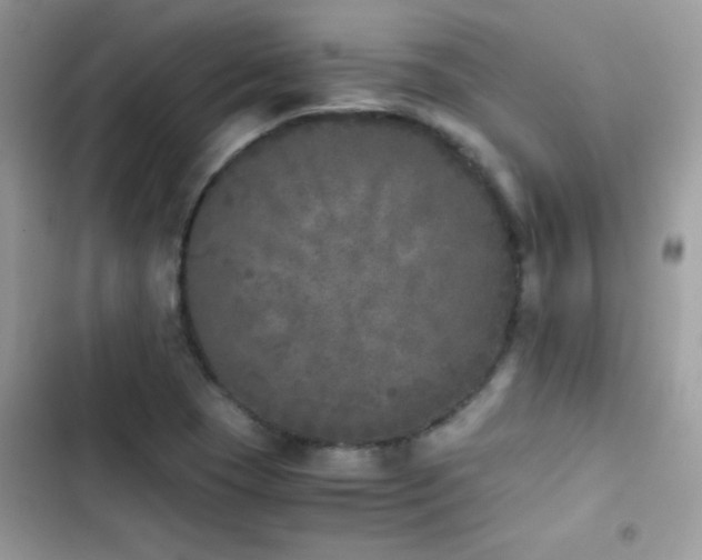 X0000103961409200809191500