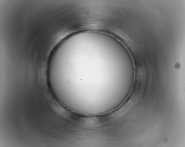 X0000103961410200809191500