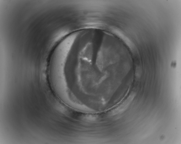 X0000103961411200809191500