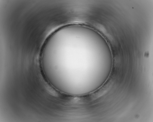 X0000103961412200809191500