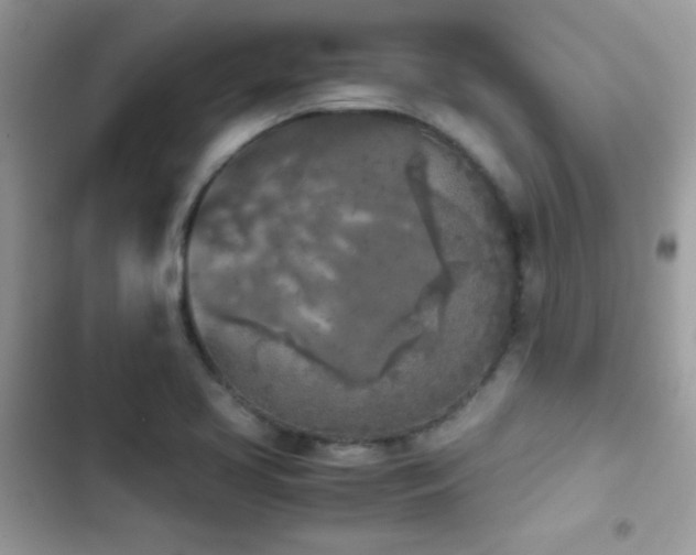 X0000103961413200809191500