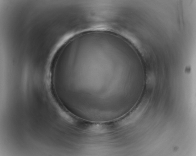 X0000103961414200809191500