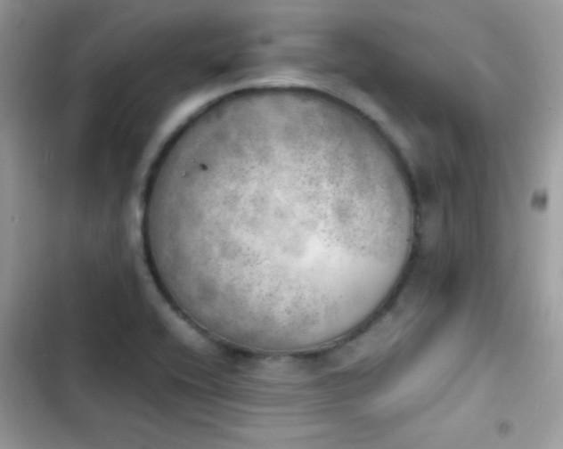 X0000103961416200809191500
