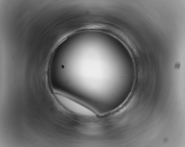 X0000103961417200809191500
