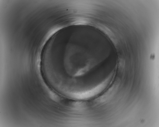 X0000103961418200809191500