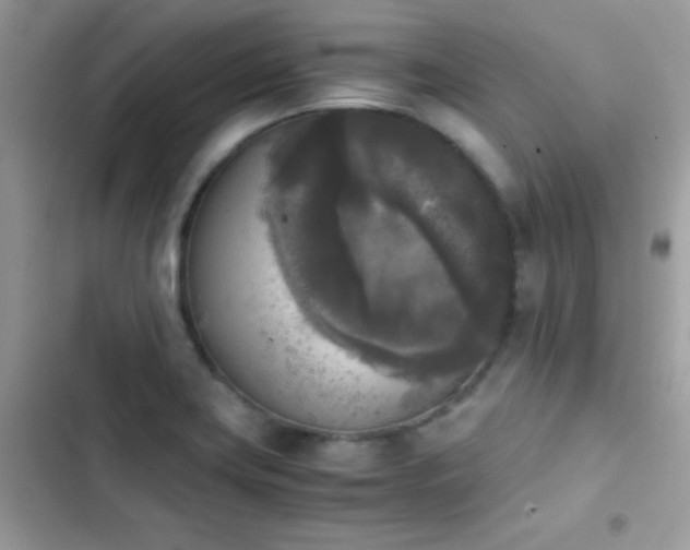 X0000103961419200809191500