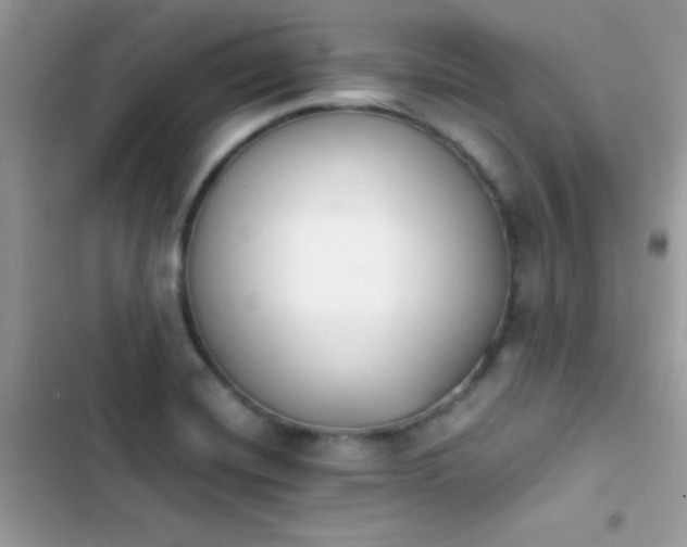 X0000103961420200809191500